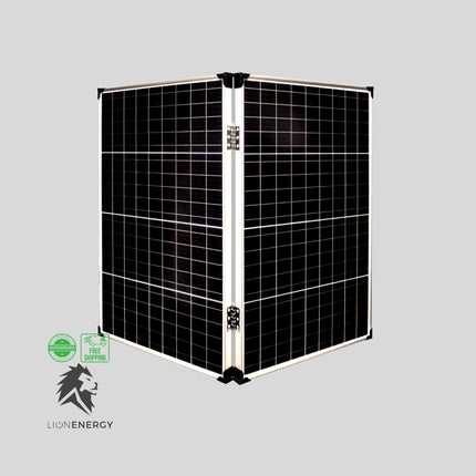12V 100W Solar Panel - Lion Energy