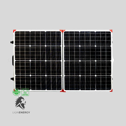 12V 100W Solar Panel - Lion Energy