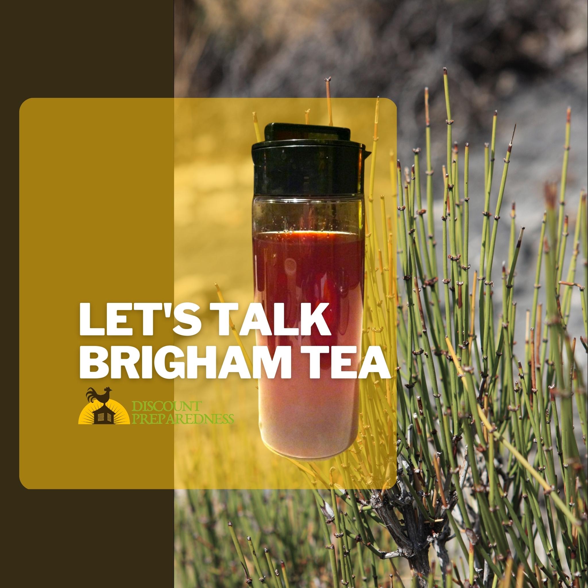 Introduction to an Amazing Herb You’ll Want to Have on Hand!