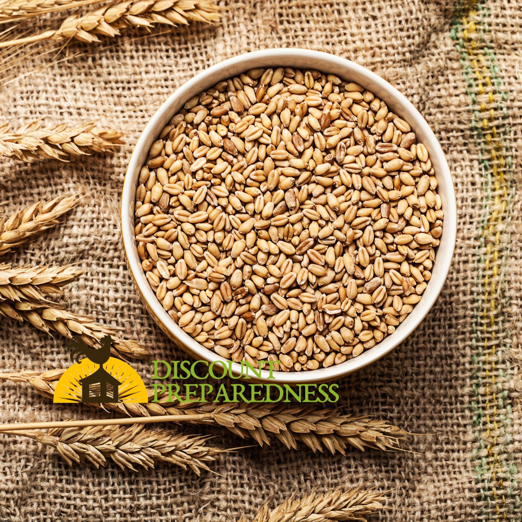 6 Reasons You Should Grind Your Own Wheat!