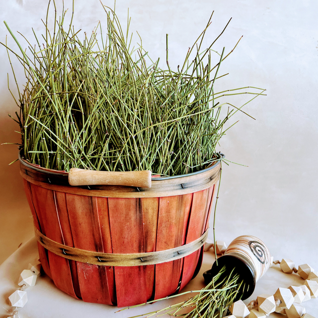 All Products - Brigham Tea