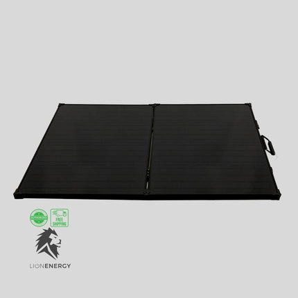 24V 100W Solar Panel - Lion Energy